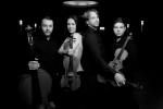 Cuarteto de cuerdas de la Staatskapelle Berlin © Simon Pauly