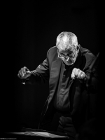 Sandro Gorli © Giovanni Daniotti