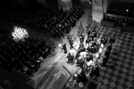 Los Músicos de Su Alteza (Paris, Invalides)