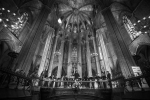 LGCh_hd_Barcelona_FeMAP general2.jpg (6.08 MB)