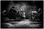 ©Patrick Van Vlerken Avishai Cohen Trio AB Brussel