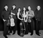 Musica Boscareccia 